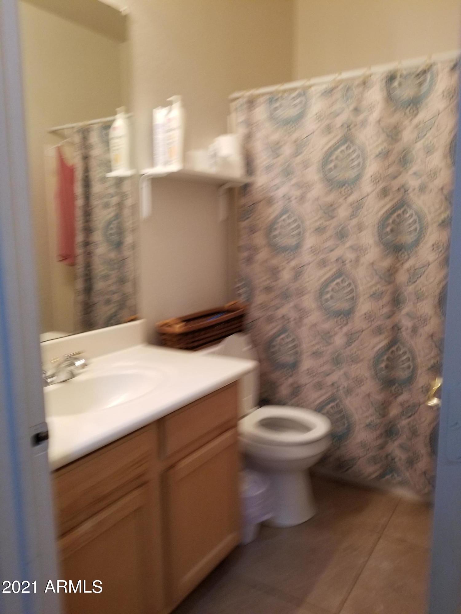 2723 East Carson Road Phoenix, AZ 85042 - Photo 8 of 24 Hall bath