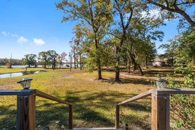 a view of a yard with trees