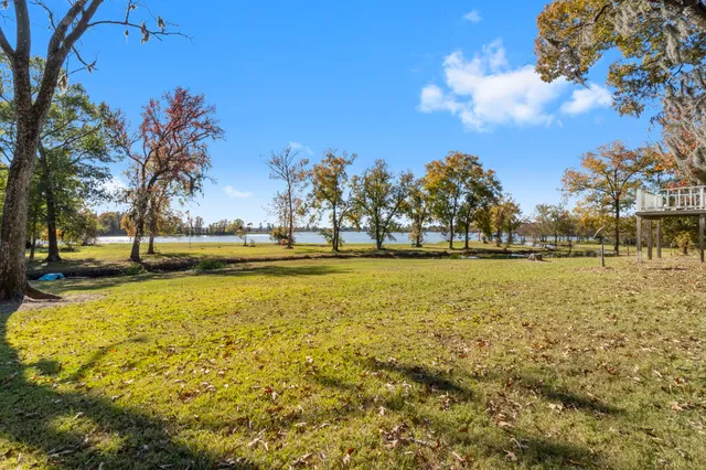 a view of a house with backyard and tree