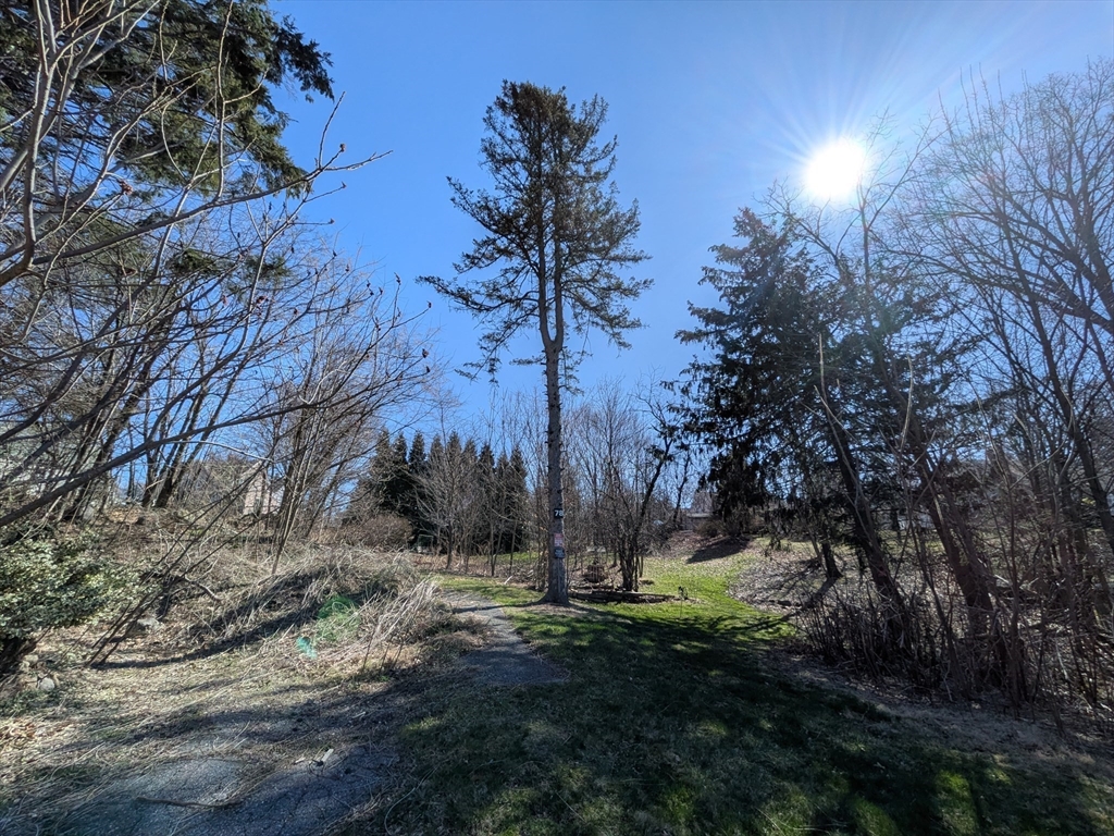 a backyard of a house with lots of green space