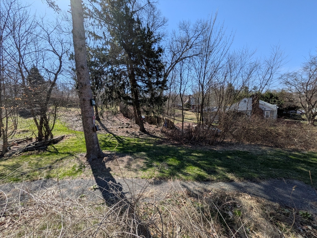 78 Leeds Street Worcester, MA 01606 - Photo 11 of 15 a view of a yard with a tree