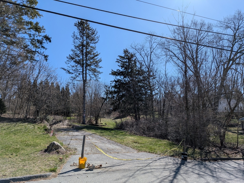 78 Leeds Street Worcester, MA 01606 - Photo 13 of 15 a view of a backyard with plants and a tree