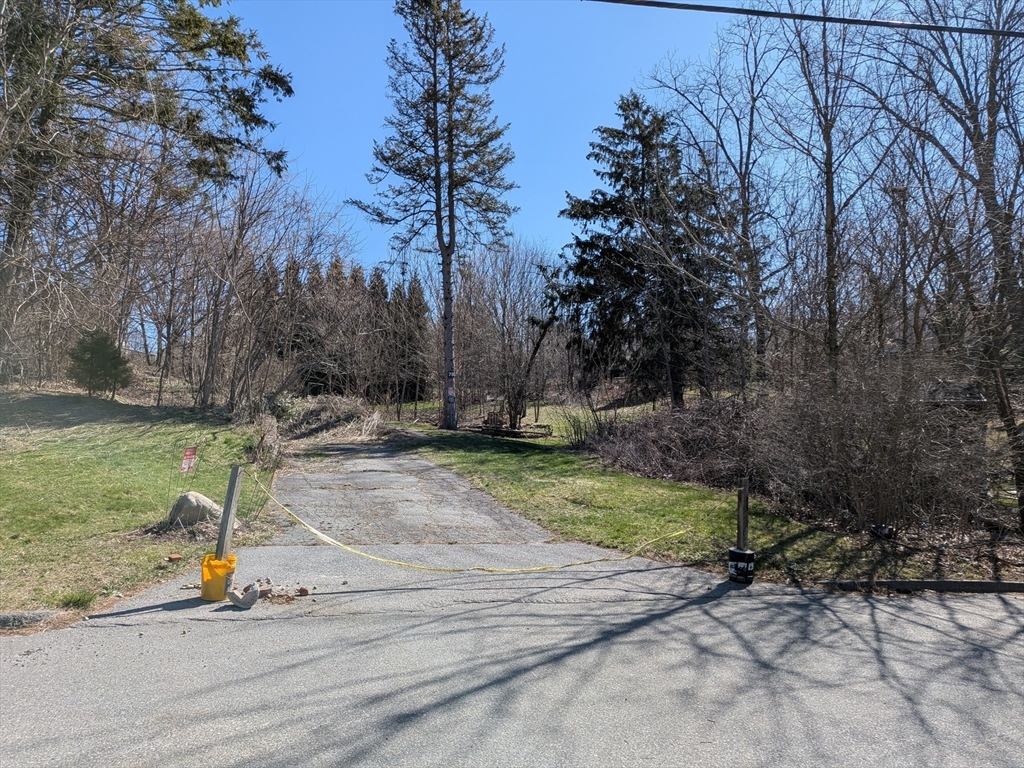 78 Leeds Street Worcester, MA 01606 - Photo 2 of 15 a view of a park with large trees