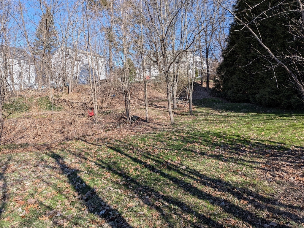 78 Leeds Street Worcester, MA 01606 - Photo 3 of 15 a view of a yard with large trees