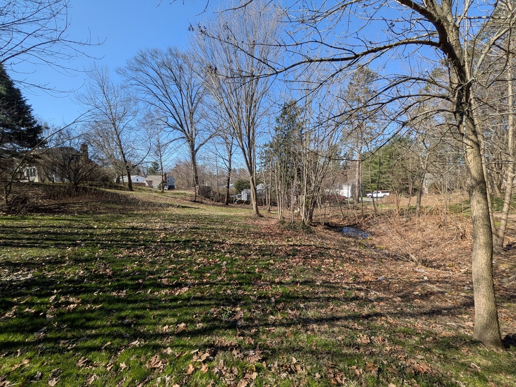 78 Leeds Street Worcester, MA 01606 - Photo 6 of 15 a view of yard with trees