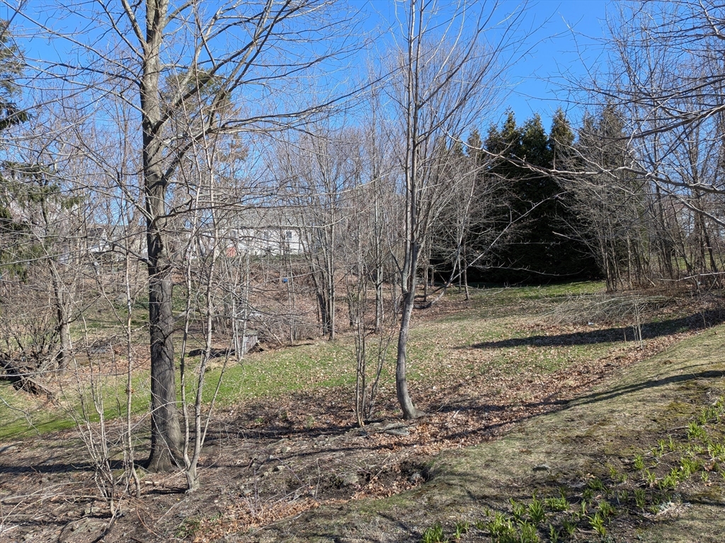 78 Leeds Street Worcester, MA 01606 - Photo 7 of 15 a backyard of a house with lots of green space