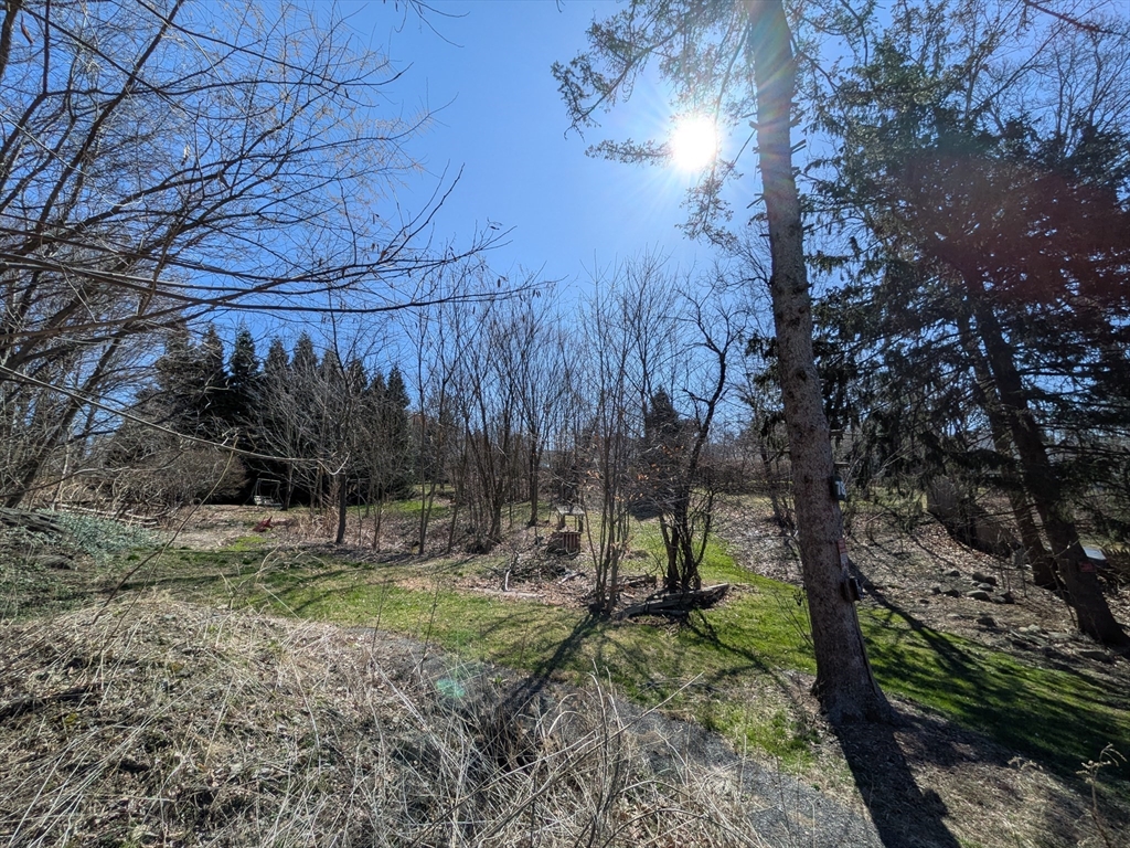 78 Leeds Street Worcester, MA 01606 - Photo 9 of 15 a backyard of a house with lots of green space
