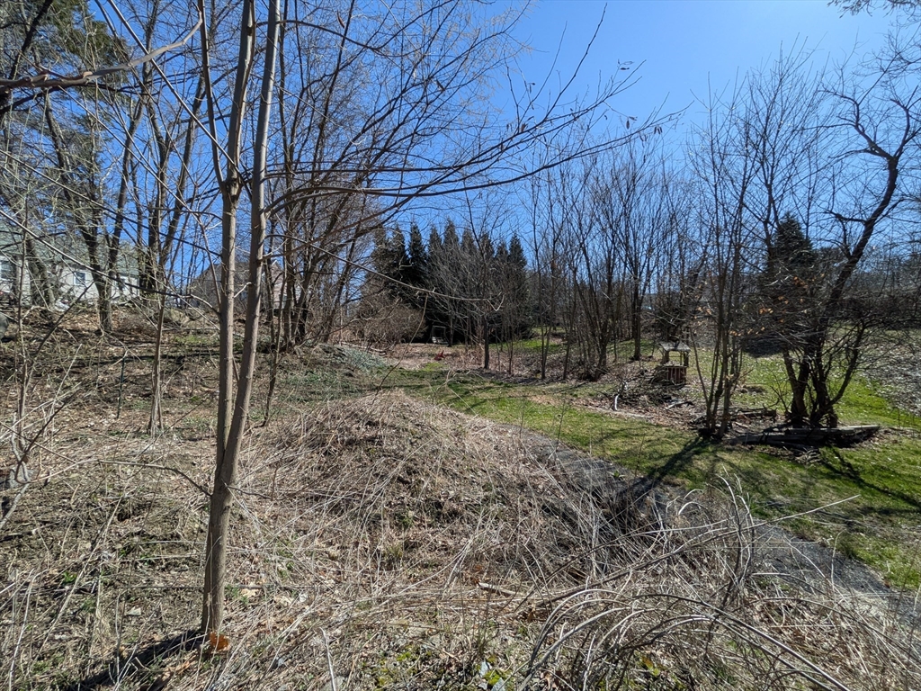 78 Leeds Street Worcester, MA 01606 - Photo 10 of 15 a view of backyard with green space