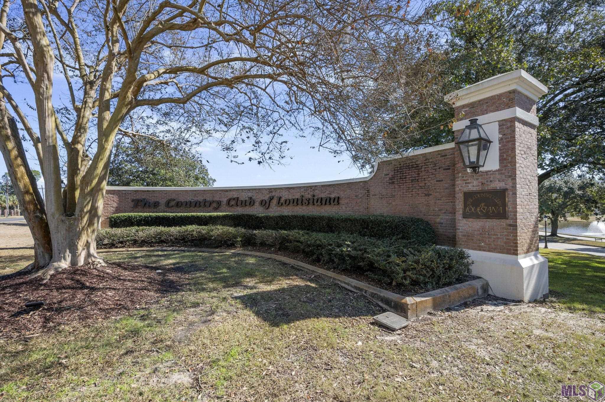 19011 East Pinnacle Circle Baton Rouge, LA 70810 - Photo 46 of 48