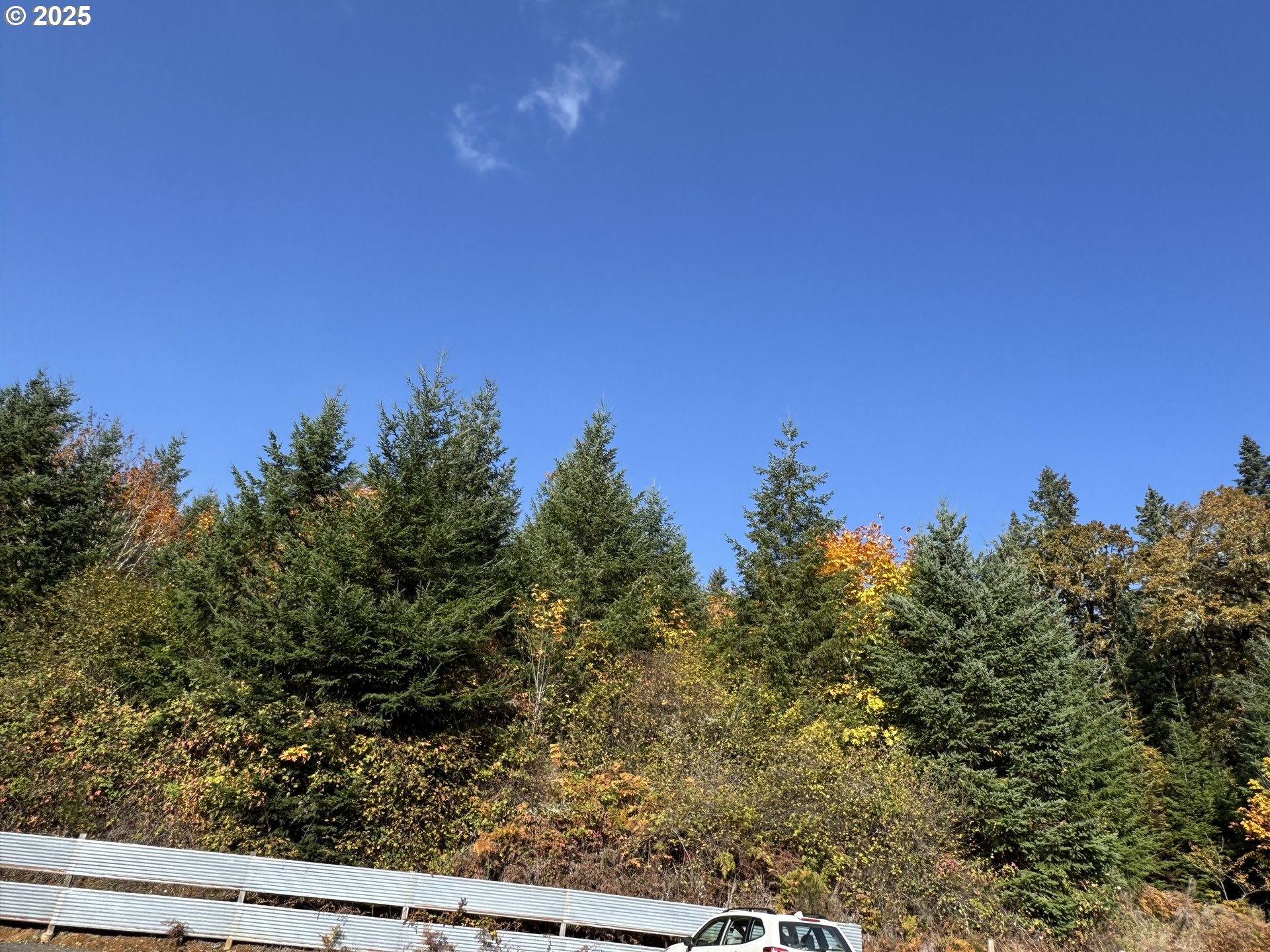 7465 Kings Valley Highway Dallas, OR 97338 - Photo 16 of 35