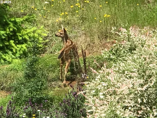 $889,900 | 7465 Kings Valley Highway, Dallas, OR 97338