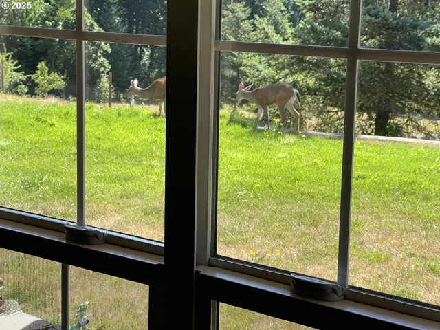 $925,000 | 7465 Kings Valley Highway, Dallas, OR 97338