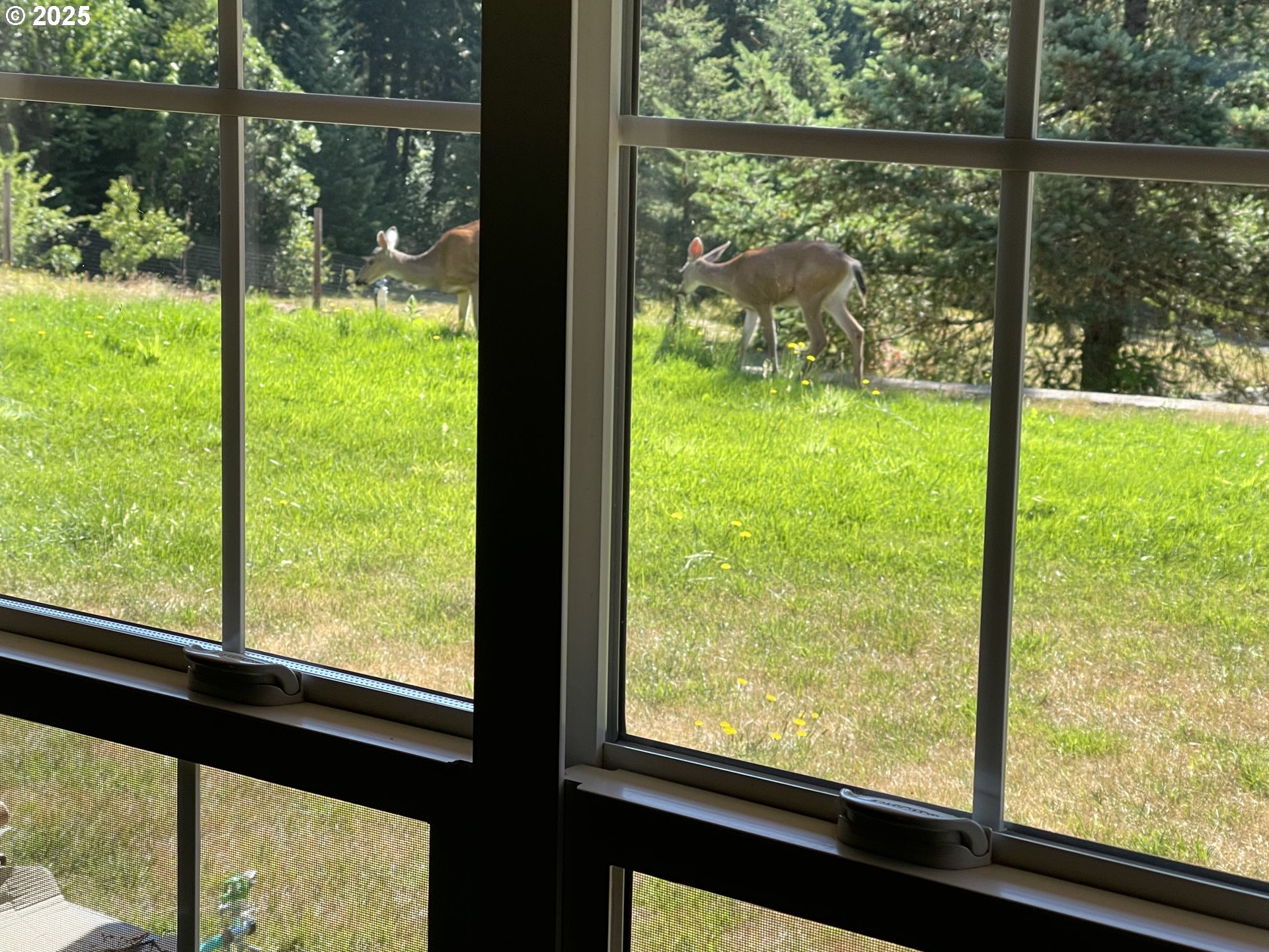 7465 Kings Valley Highway Dallas, OR 97338 - Photo 3 of 35