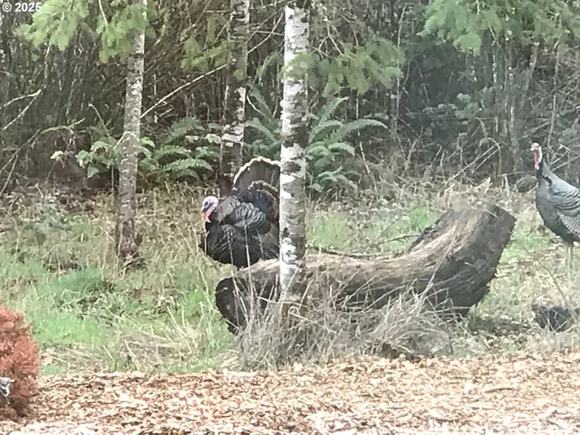 $925,000 | 7465 Kings Valley Highway, Dallas, OR 97338