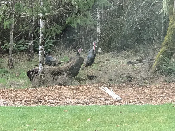 $889,900 | 7465 Kings Valley Highway, Dallas, OR 97338