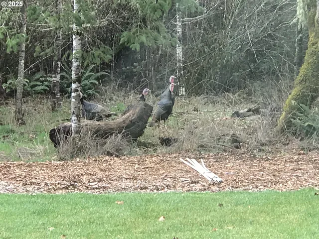 $925,000 | 7465 Kings Valley Highway, Dallas, OR 97338