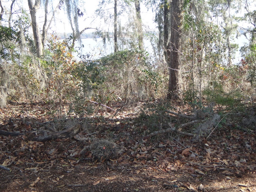 2791 Calhoun Drive Abbeville, AL 36310 - Photo 11 of 12
