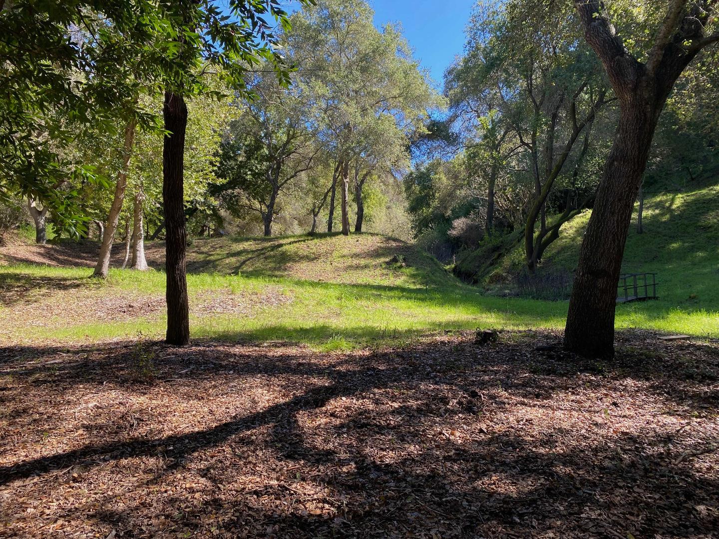 15397 Kennedy Road Los Gatos, CA 95032 - Photo 12 of 21 a view of a yard with trees