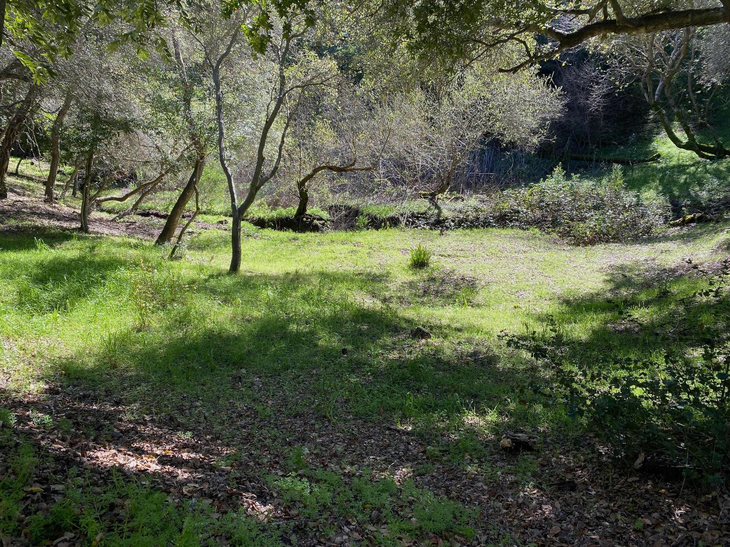 15397 Kennedy Road Los Gatos, CA 95032 - Photo 14 of 21 a view of backyard with green space
