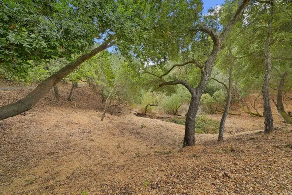 a view of backyard with green space