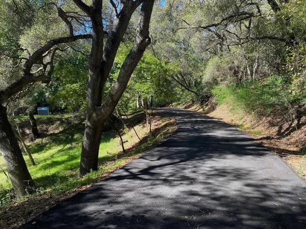 a view of street with trees