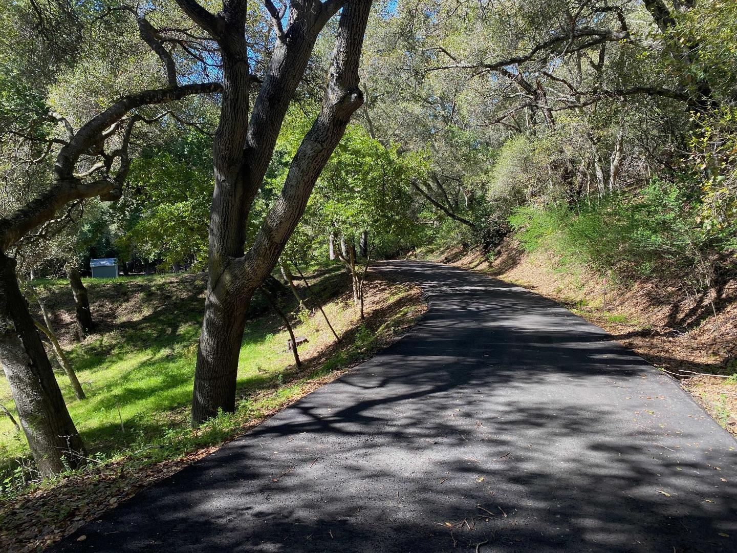 15397 Kennedy Road Los Gatos, CA 95032 - Photo 17 of 21 a view of street with trees