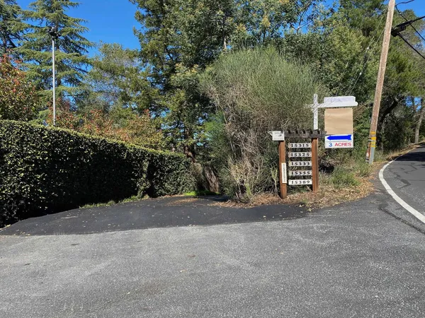 a view of a street with trees and bushes