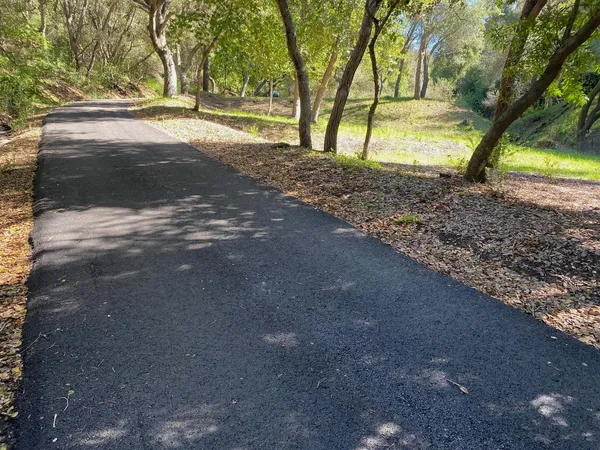 a view of road with large trees