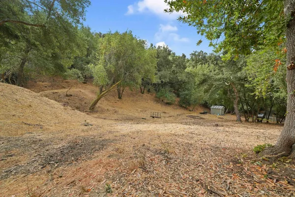 a view of a yard with a tree