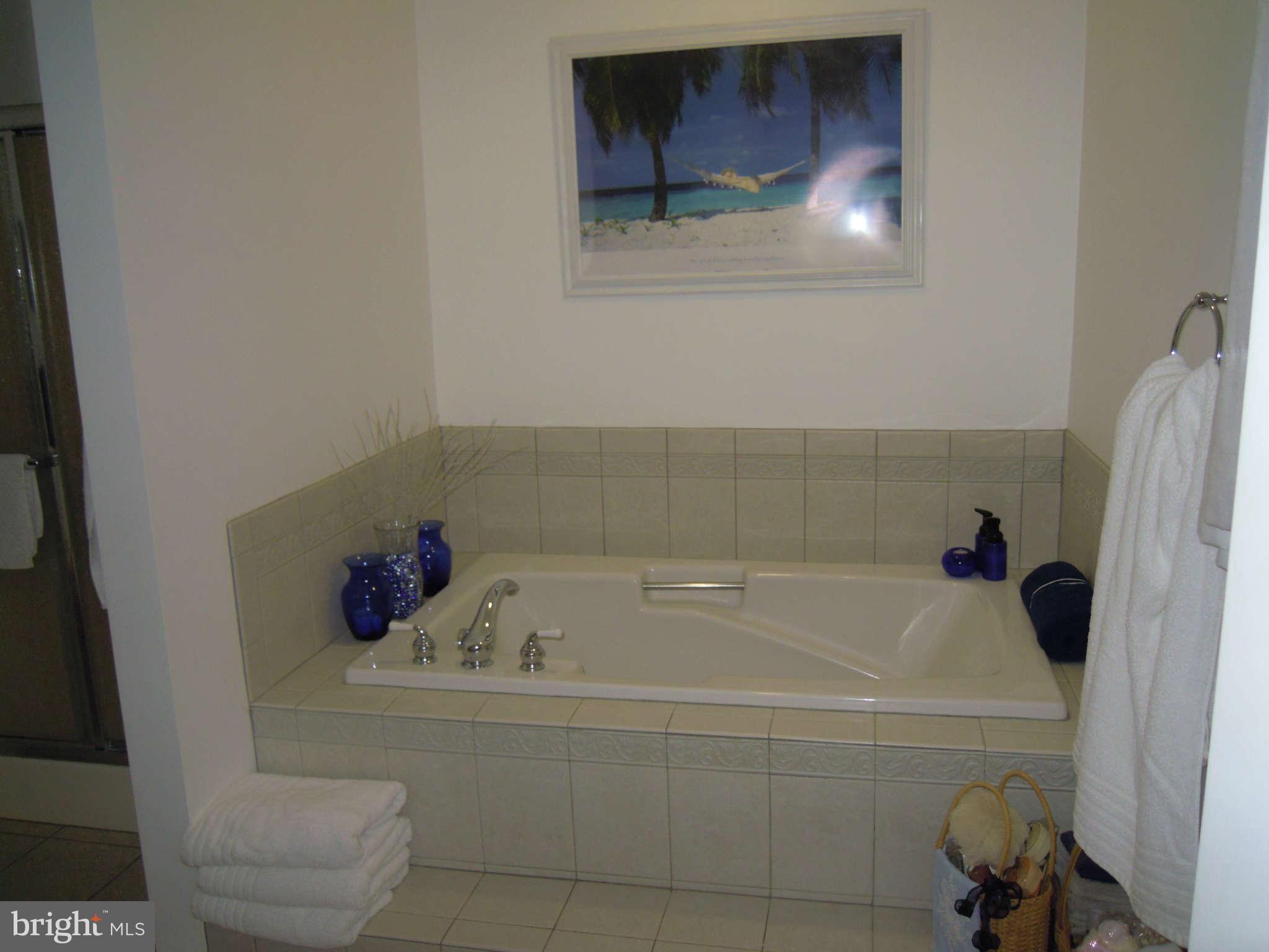 125 Fort Hoyle Road Joppa, MD 21085 - Photo 17 of 30 Bath (Master) - soaking tub
