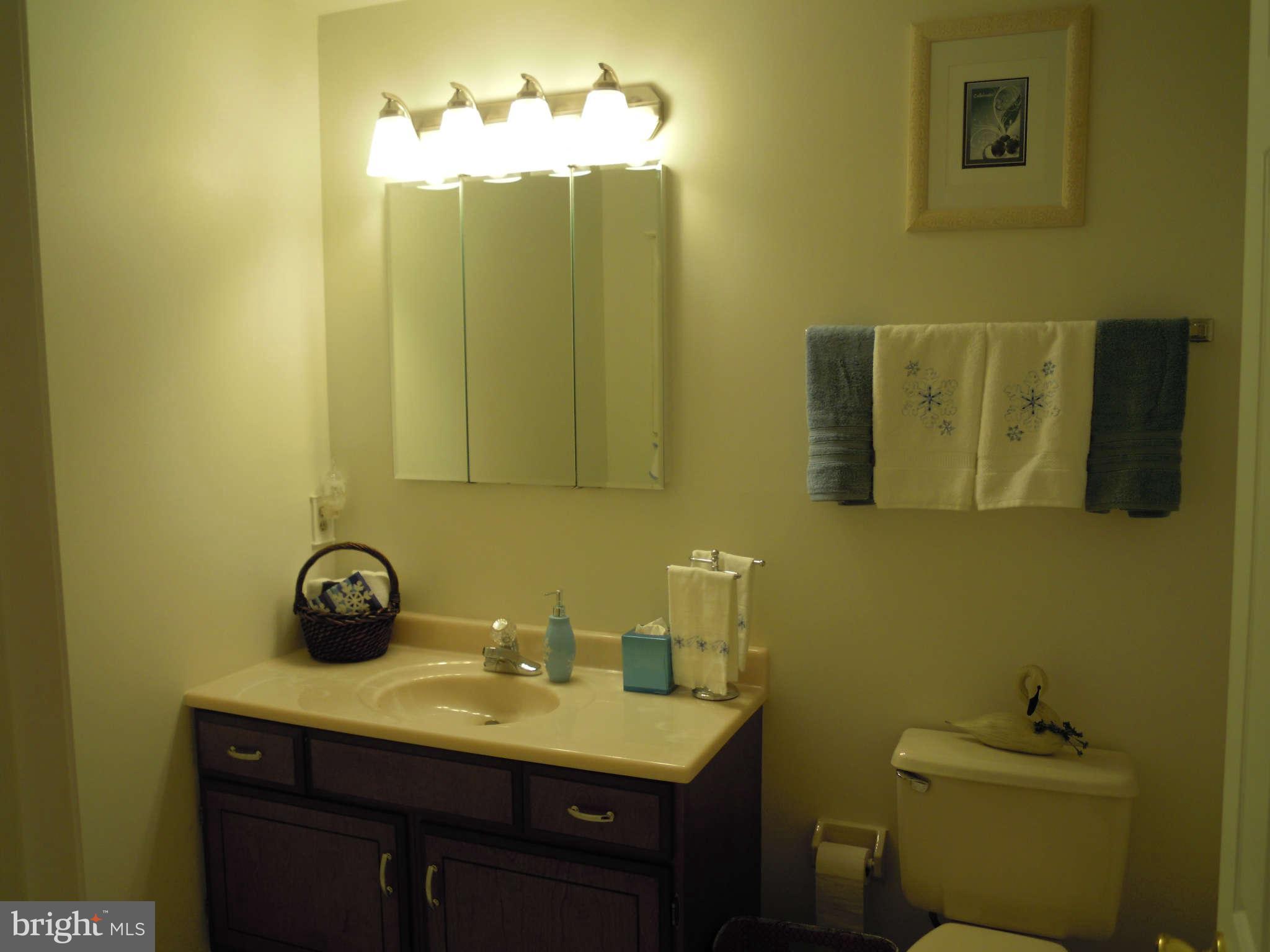125 Fort Hoyle Road Joppa, MD 21085 - Photo 21 of 30 Family Bath