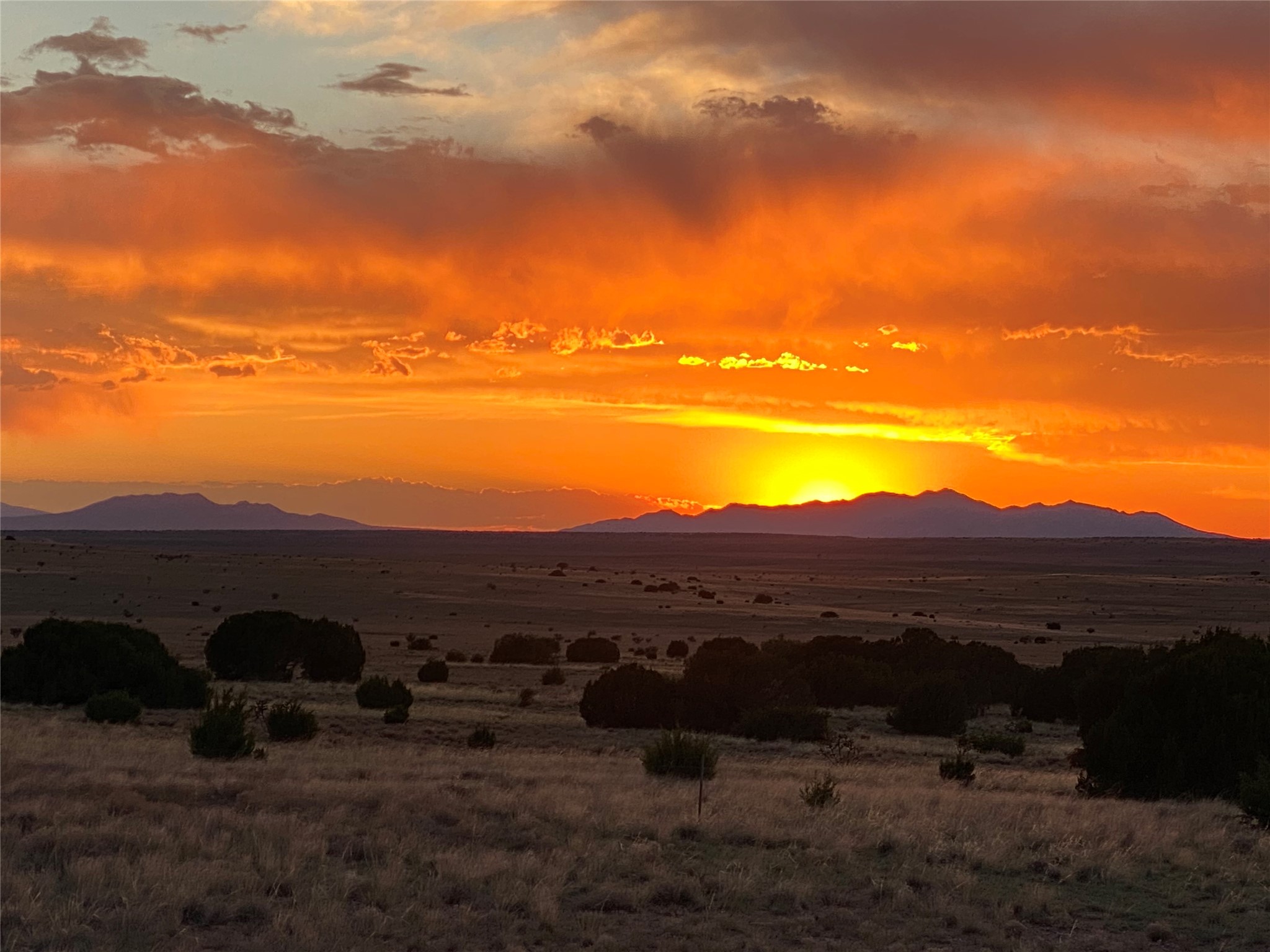 26262 US Highway 285 Ribera, NM 87560 - Photo 46 of 46