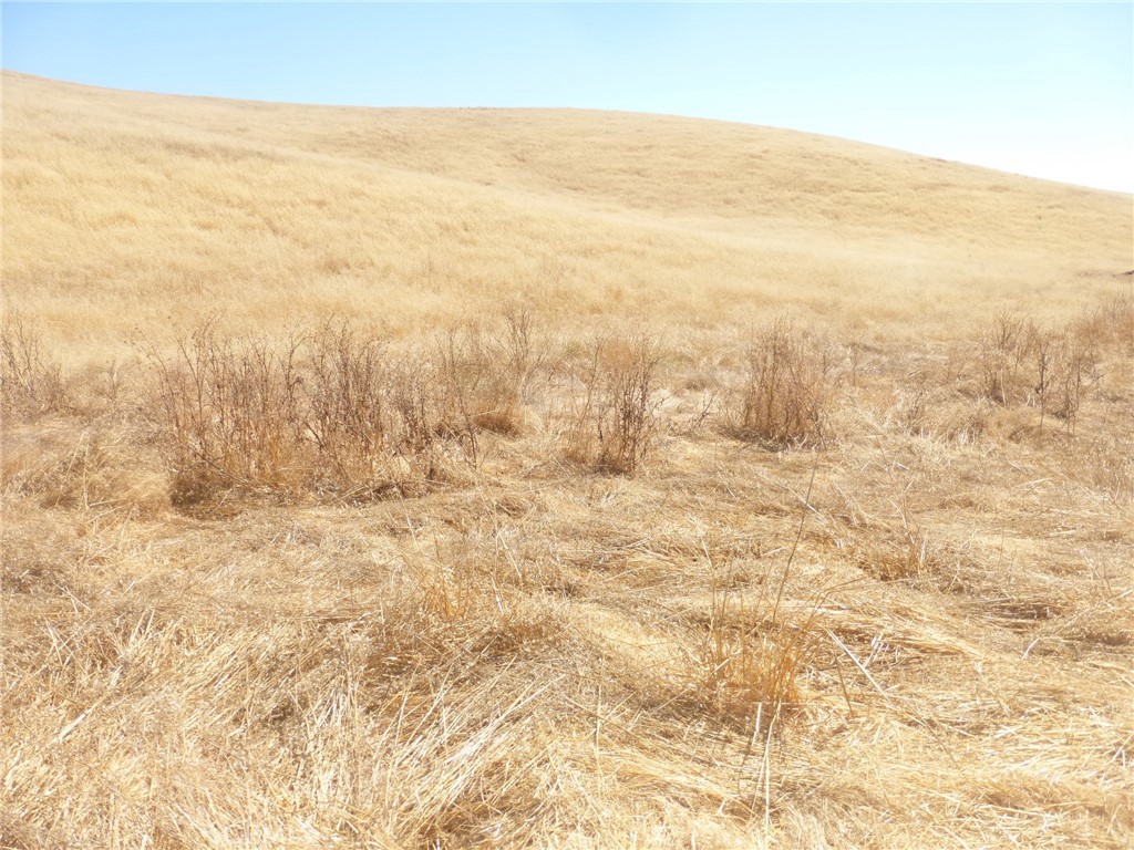 0 Douglas Road San Miguel, CA 93451 - Photo 11 of 18