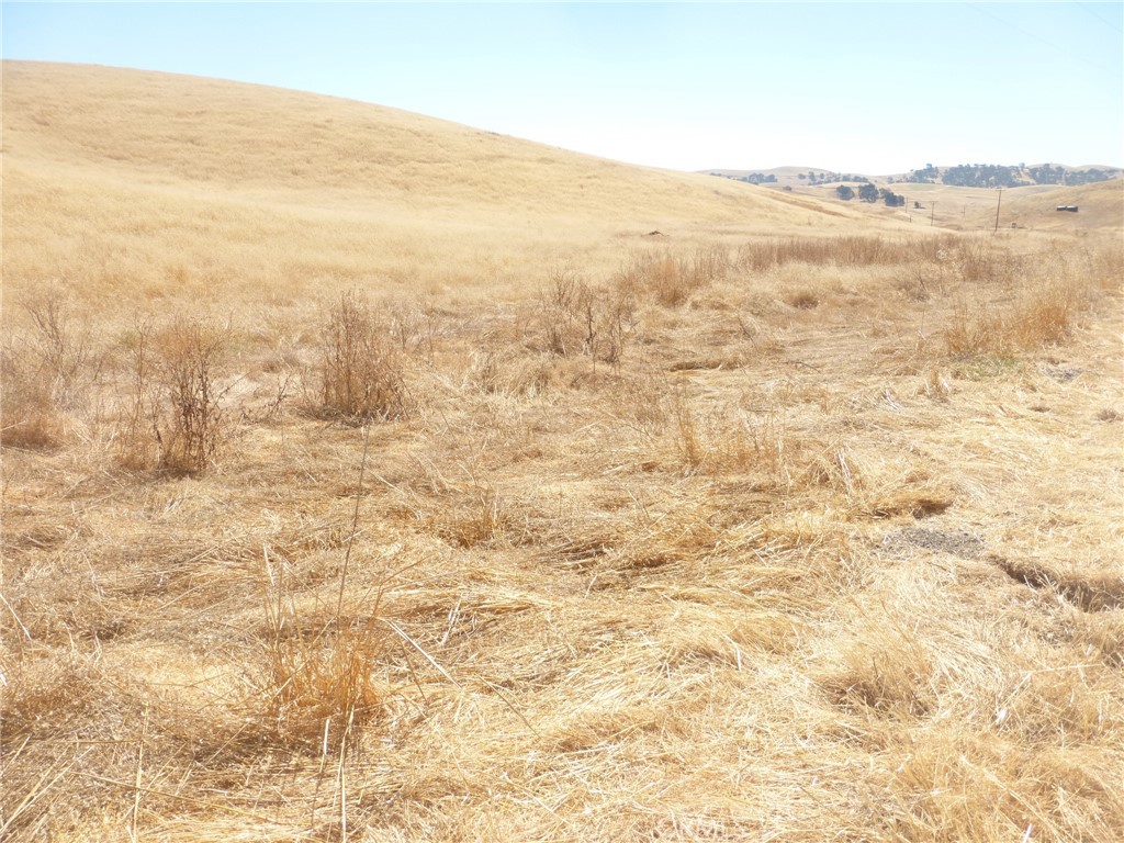 0 Douglas Road San Miguel, CA 93451 - Photo 12 of 18