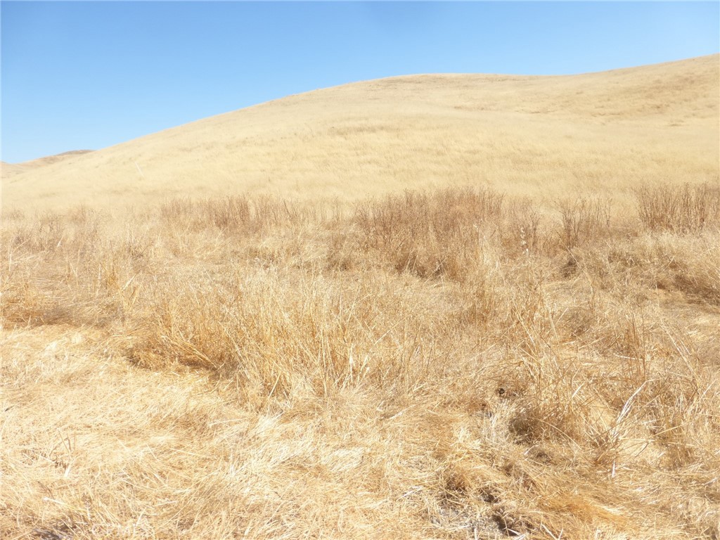 0 Douglas Road San Miguel, CA 93451 - Photo 14 of 18