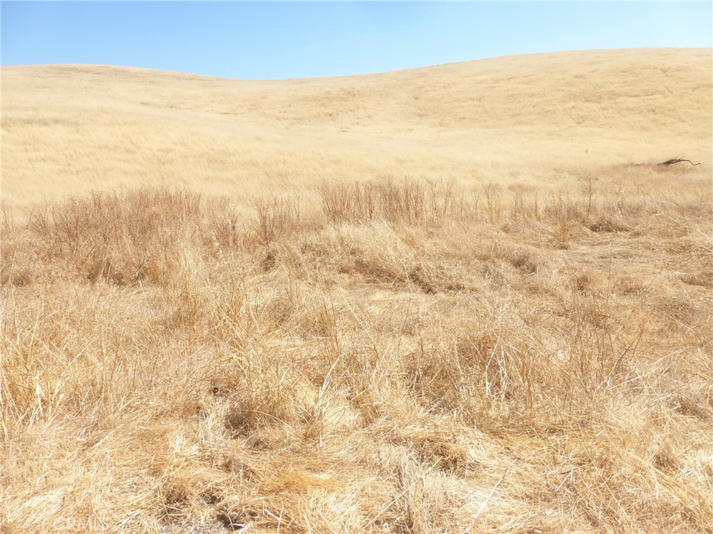 0 Douglas Road San Miguel, CA 93451 - Photo 15 of 18