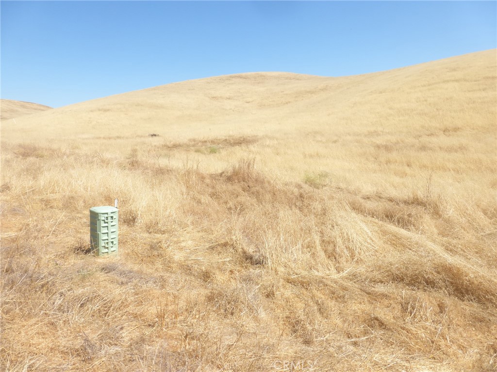 0 Douglas Road San Miguel, CA 93451 - Photo 3 of 18