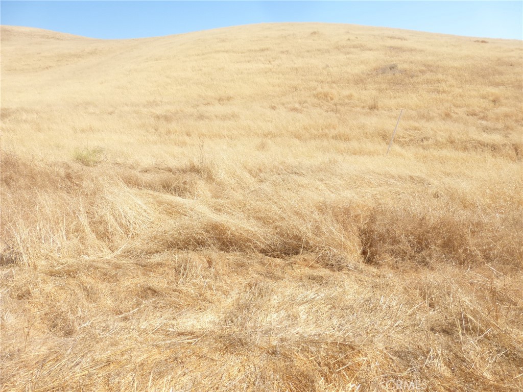 0 Douglas Road San Miguel, CA 93451 - Photo 5 of 18