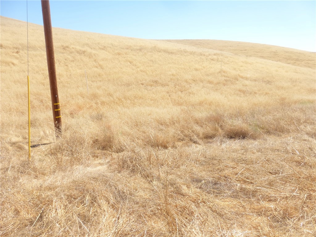 0 Douglas Road San Miguel, CA 93451 - Photo 6 of 18