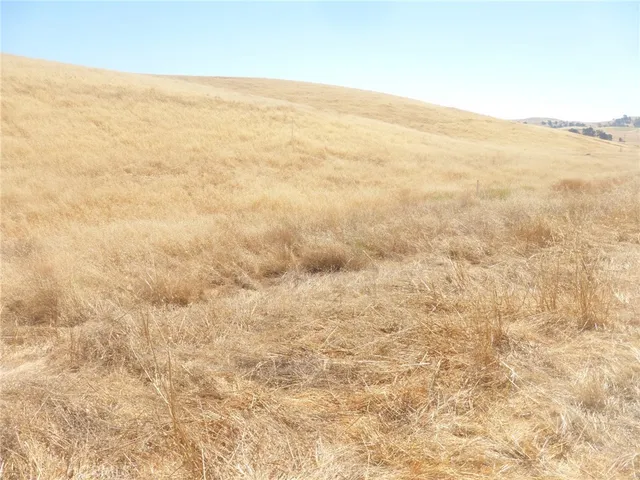 $95,000 | 0 Douglas Road, San Miguel, CA 93451