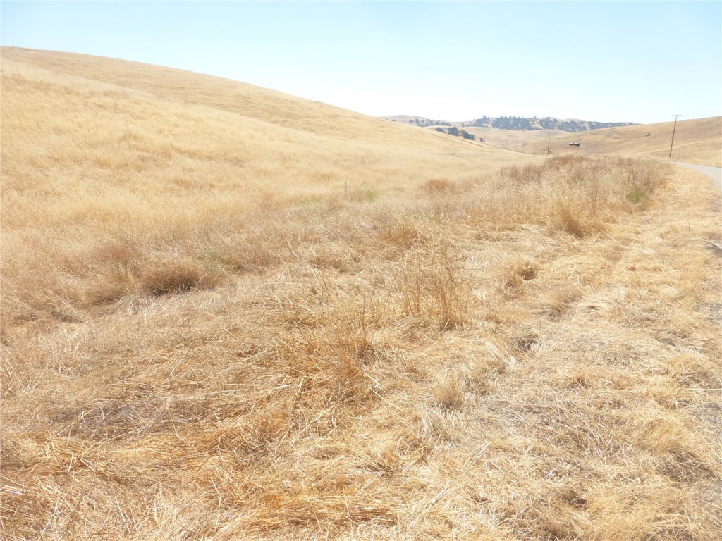 0 Douglas Road San Miguel, CA 93451 - Photo 8 of 18