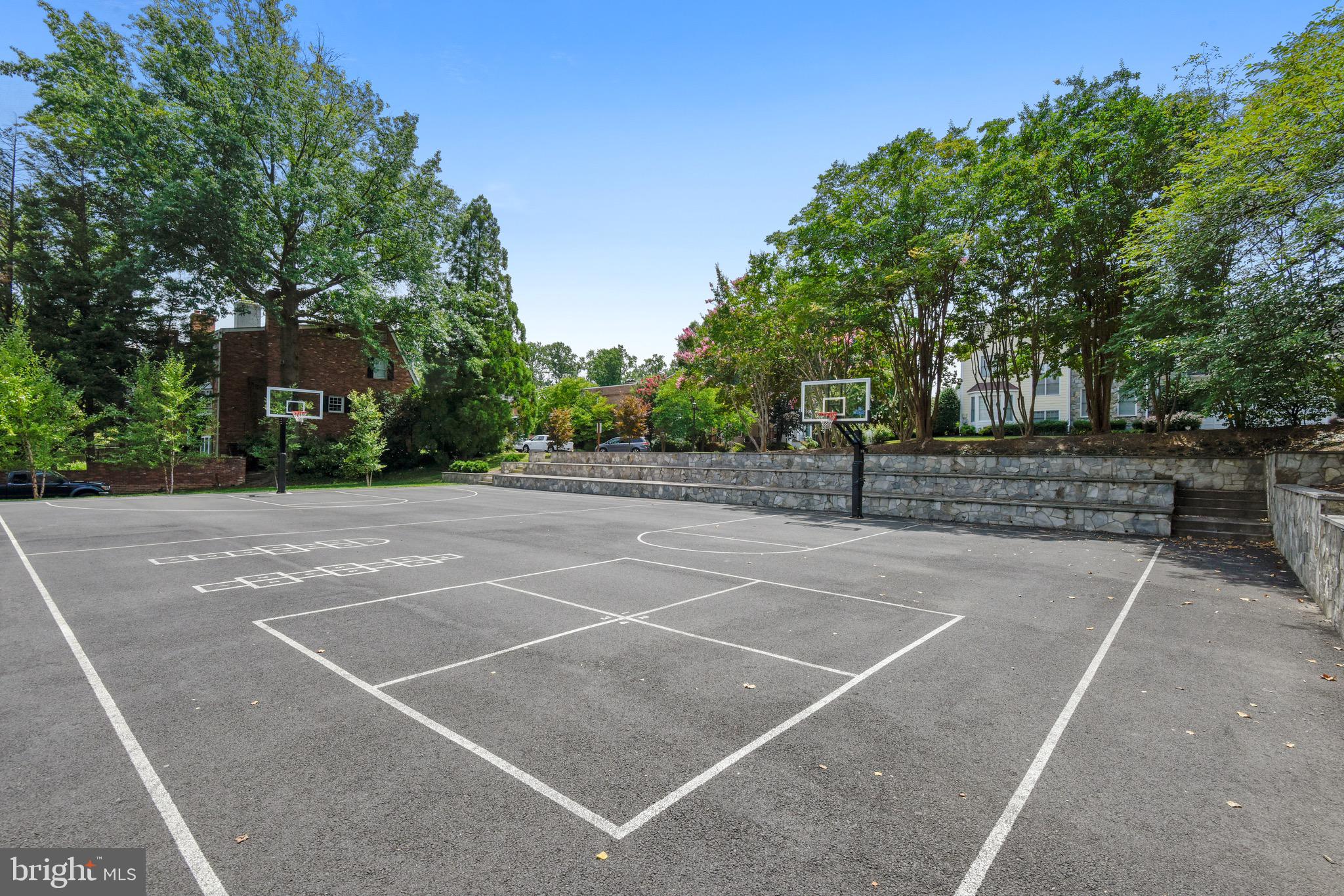 6819 Melrose Drive McLean, VA 22101 - Photo 35 of 45 Hoops!!