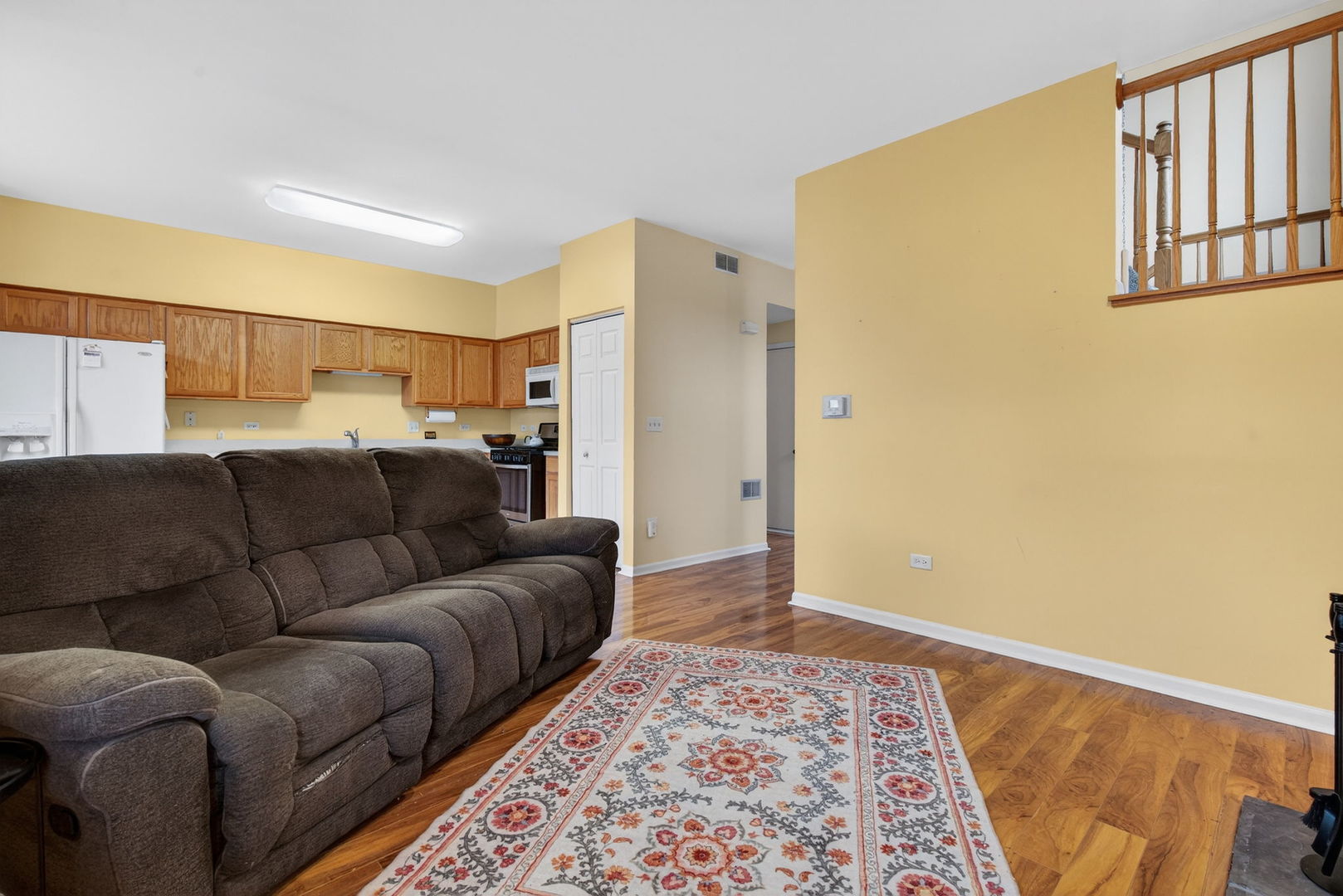 1451 Red Top Lane Minooka, IL 60447 - Photo 15 of 37 a living room with a couch and a rug