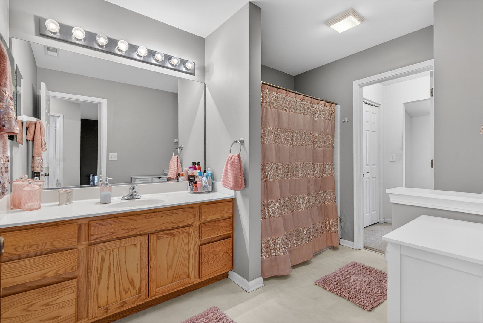 1451 Red Top Lane Minooka, IL 60447 - Photo 26 of 37 a en suite bathroom with a double vanity sink a large mirror and a shower