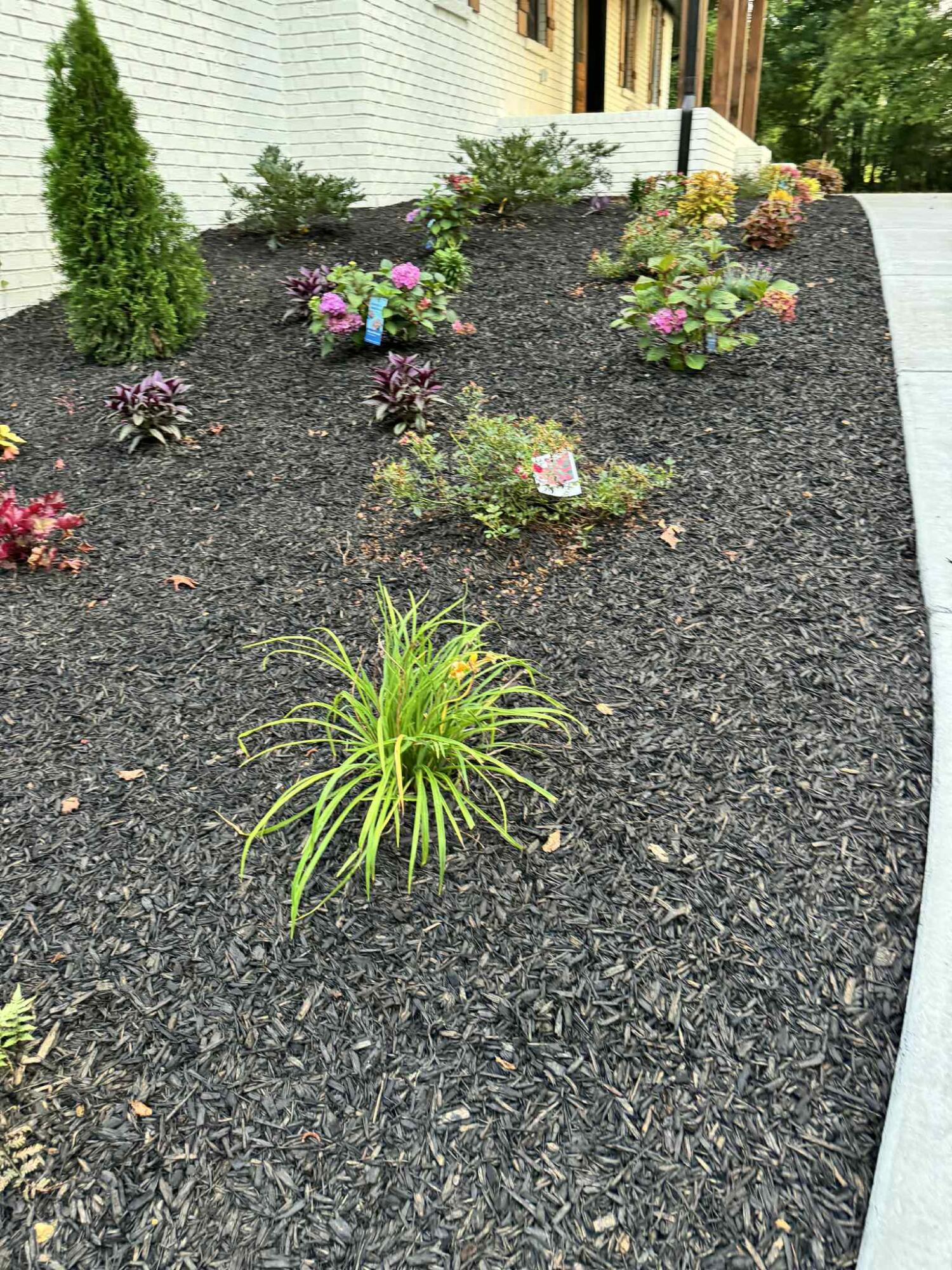 316 Sand Mountain Road Old Fort, TN 37362 - Photo 18 of 41 att.msjG-0k32mkRSMIJLFwvKd_fmmKTXcdDmwUw