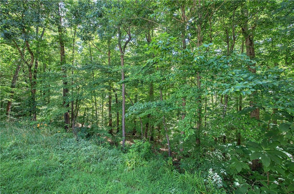 302 Waterfall Court Canton, GA 30115 - Photo 69 of 81
