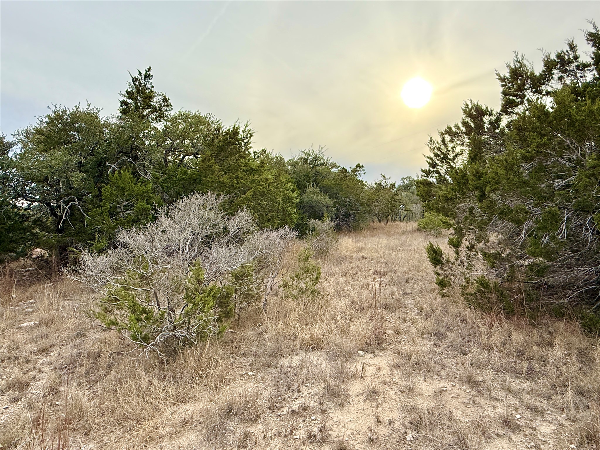 557 Abodar Trail Spring Branch, TX 78070 - Photo 7 of 22 Side
