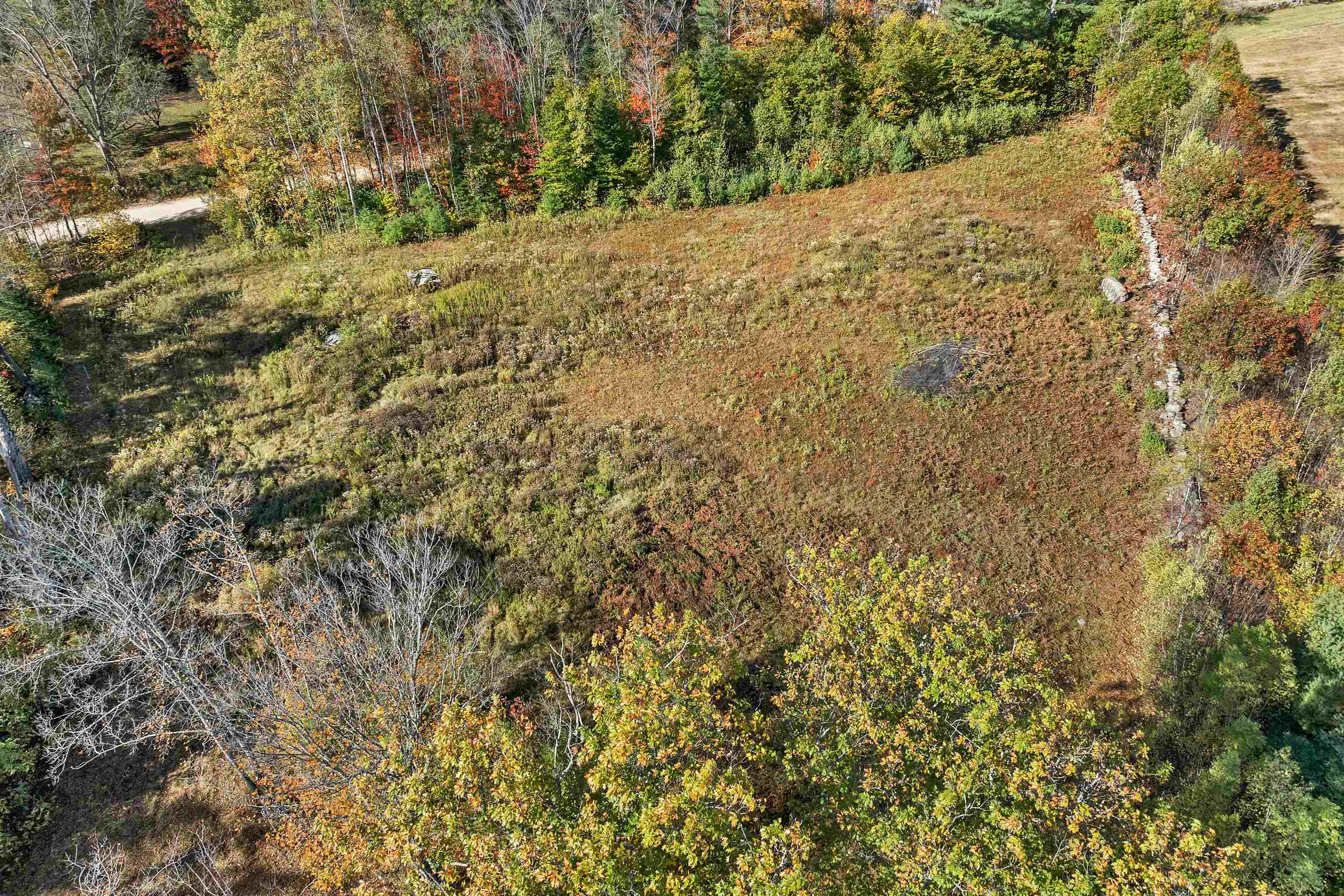 44 Williams Hill Road Grafton, NH 03240 - Photo 11 of 11