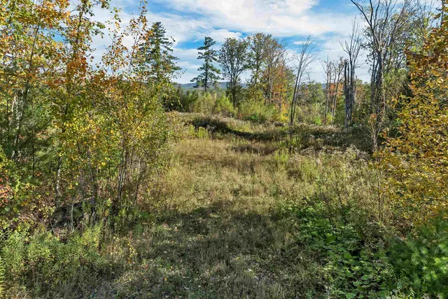 $175,000 | 44 Williams Hill Road, Grafton, NH 03240