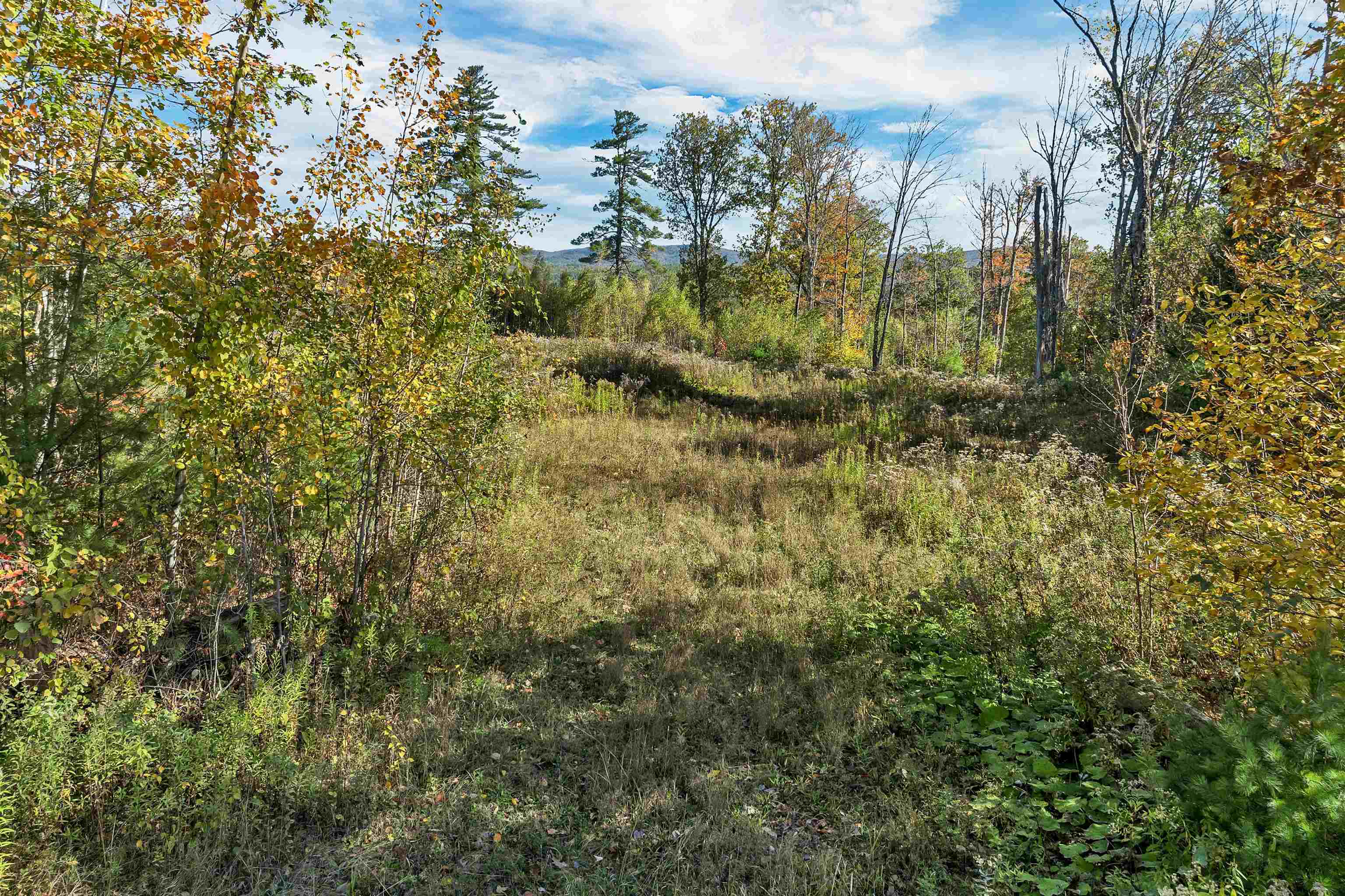 44 Williams Hill Road Grafton, NH 03240 - Photo 2 of 11